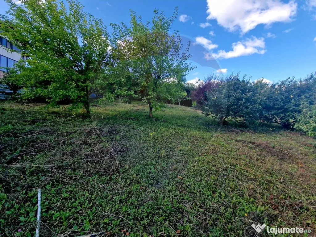 Teren 2,000mp Piatra-Neamt / Strada Pietrelor