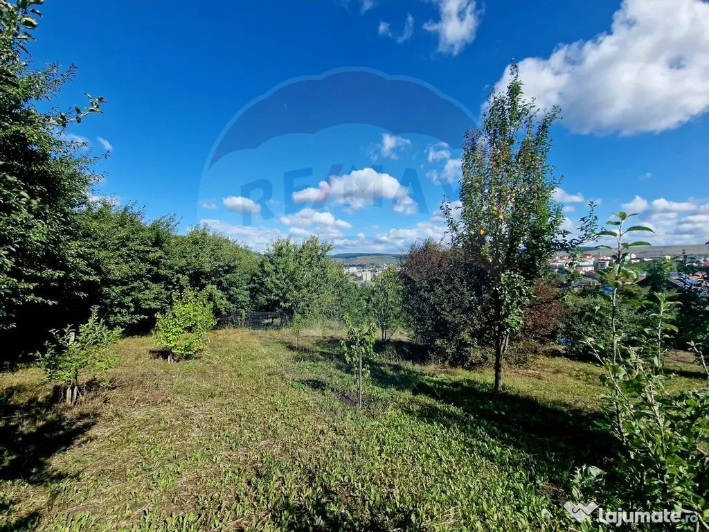 Teren 2,000mp Piatra-Neamt / Strada Pietrelor