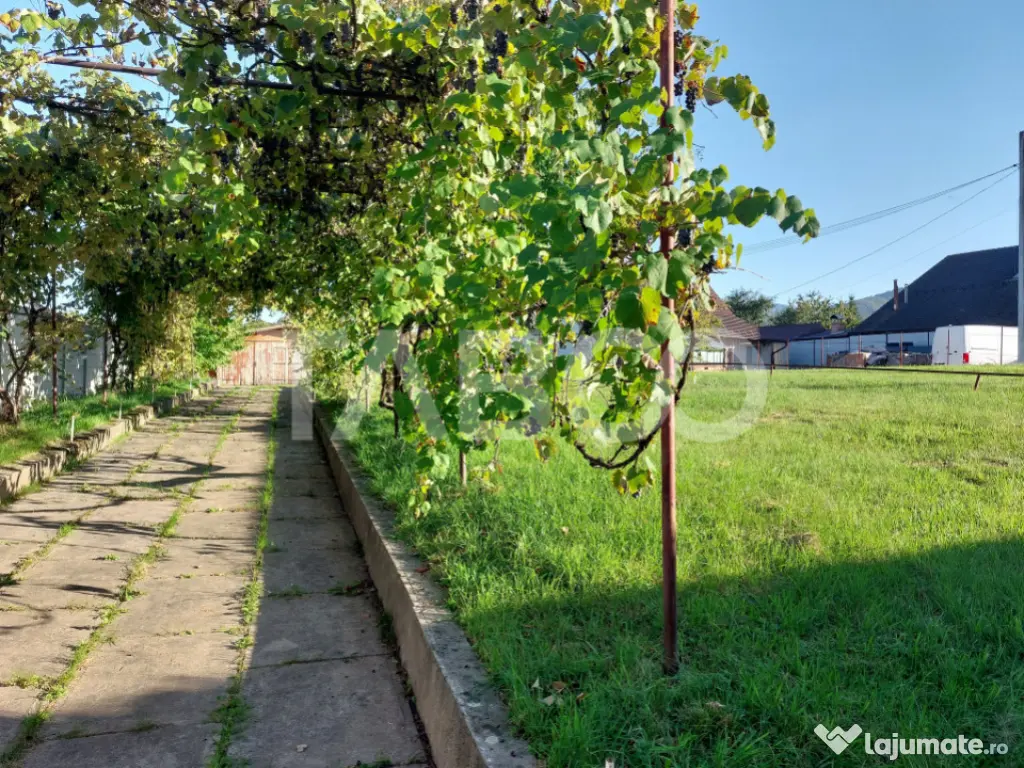 Teren intravilan 1298 mp PUZ toate utilitatile zona buna Ci 