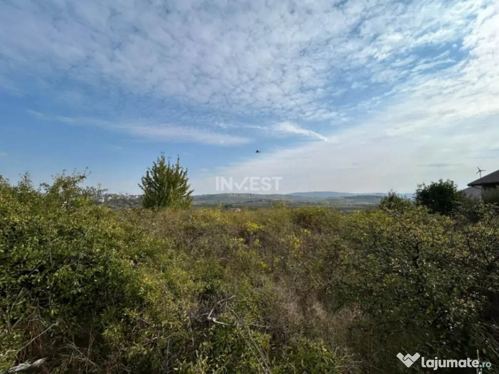 TEREN INTRAVILAN , 500 MP , LUNCA CETATUII-CARTIER CRIHAN