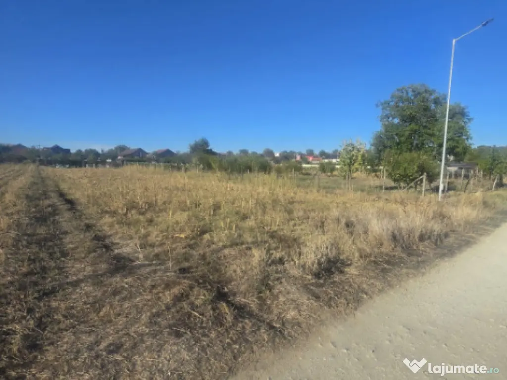 Teren 1000mp ,la intrarea in Filiasi