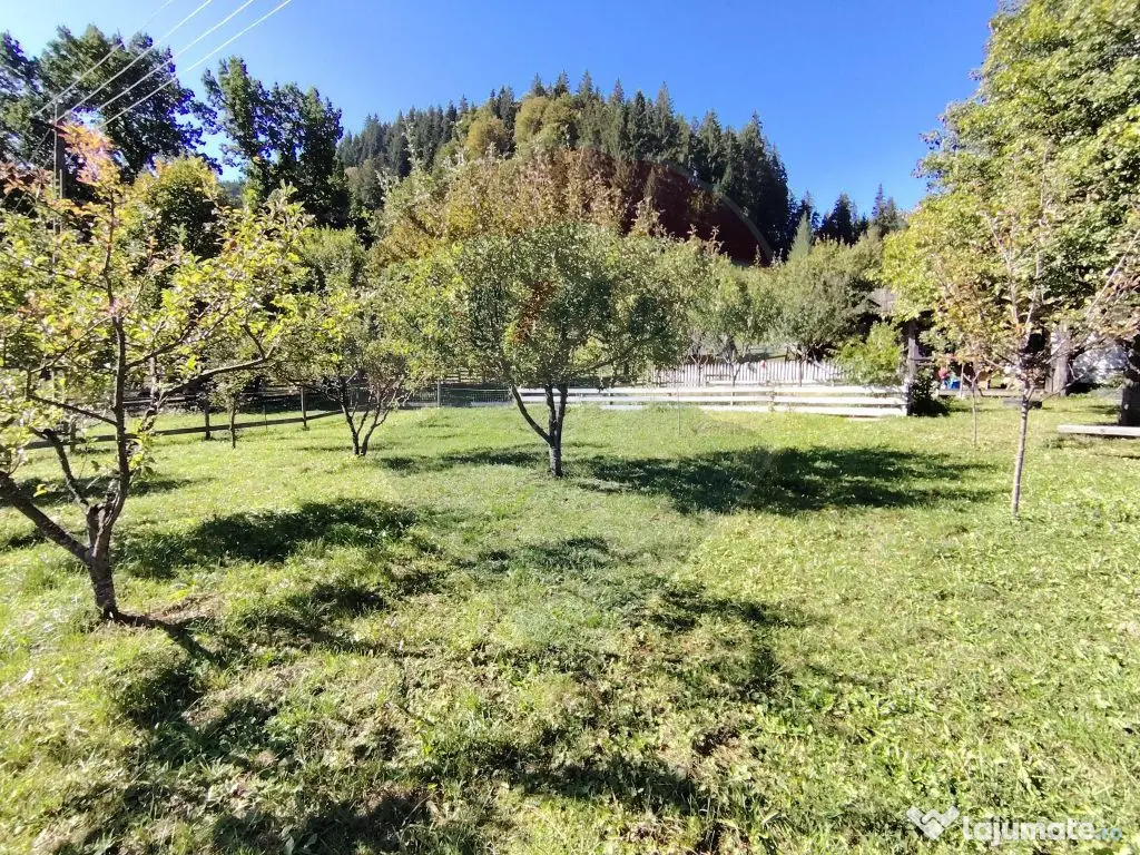 Casă în Vatra Dornei, zona Argestru, cu 11.541m.p. TERE...