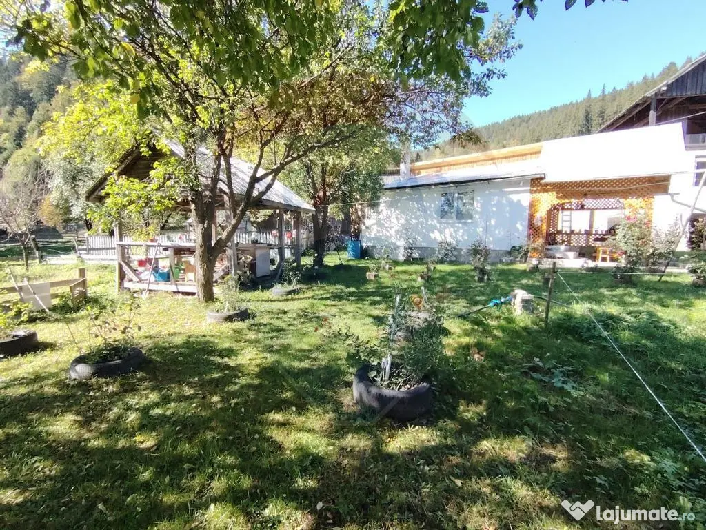 Casă în Vatra Dornei, zona Argestru, cu 11.541m.p. TERE...