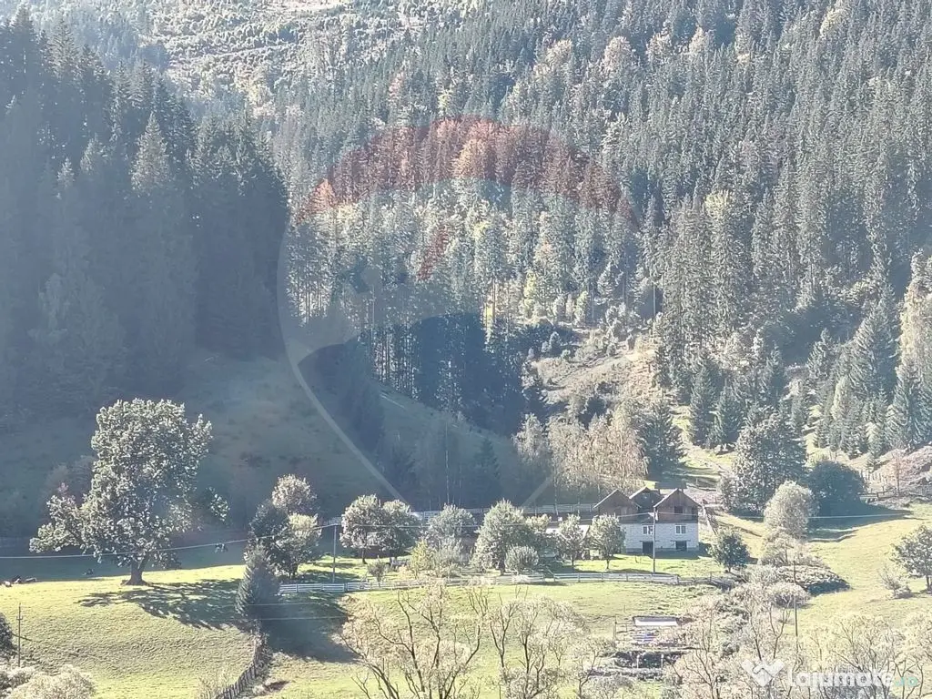 Casă în Vatra Dornei, zona Argestru, cu 11.541m.p. TERE...