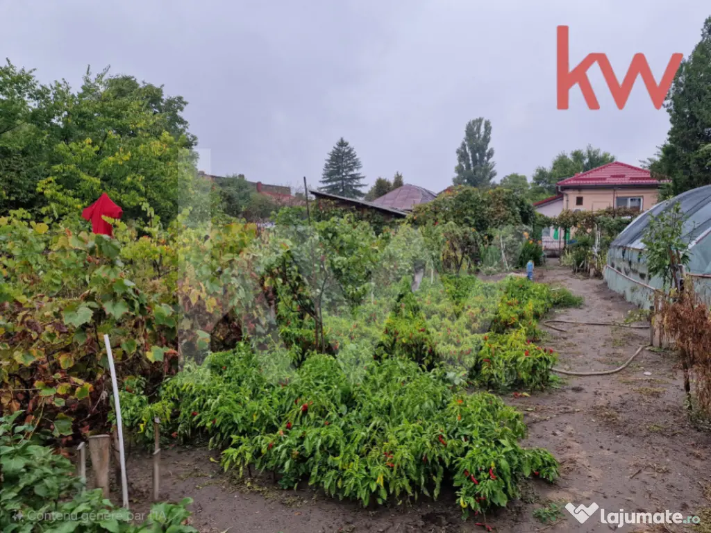 Teren 1.390 mp, cu casa, 177 euro mp 