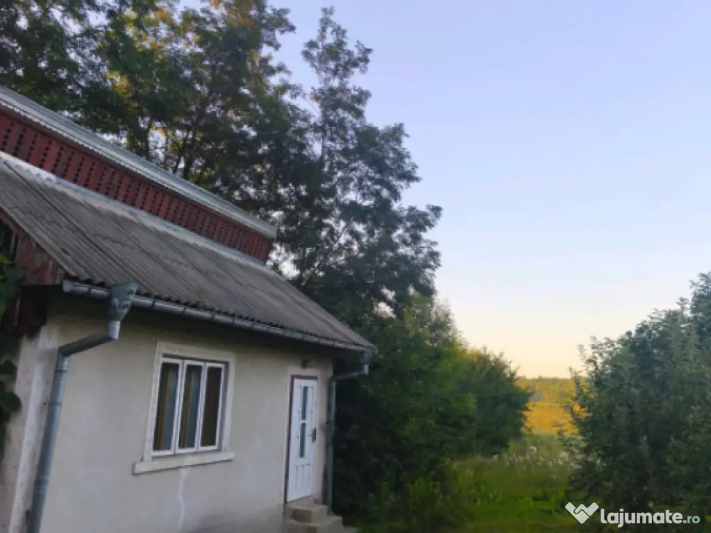 Casa individuala, 3500mp teren, zona Negostina, Siret