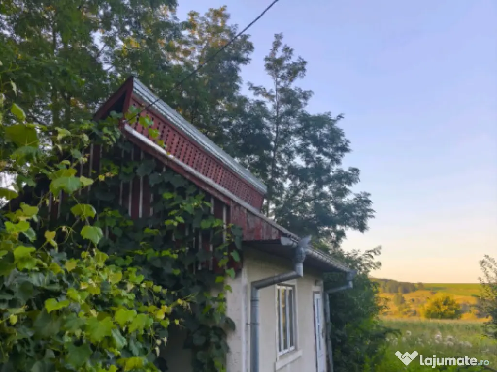 Casa individuala, 3500mp teren, zona Negostina, Siret