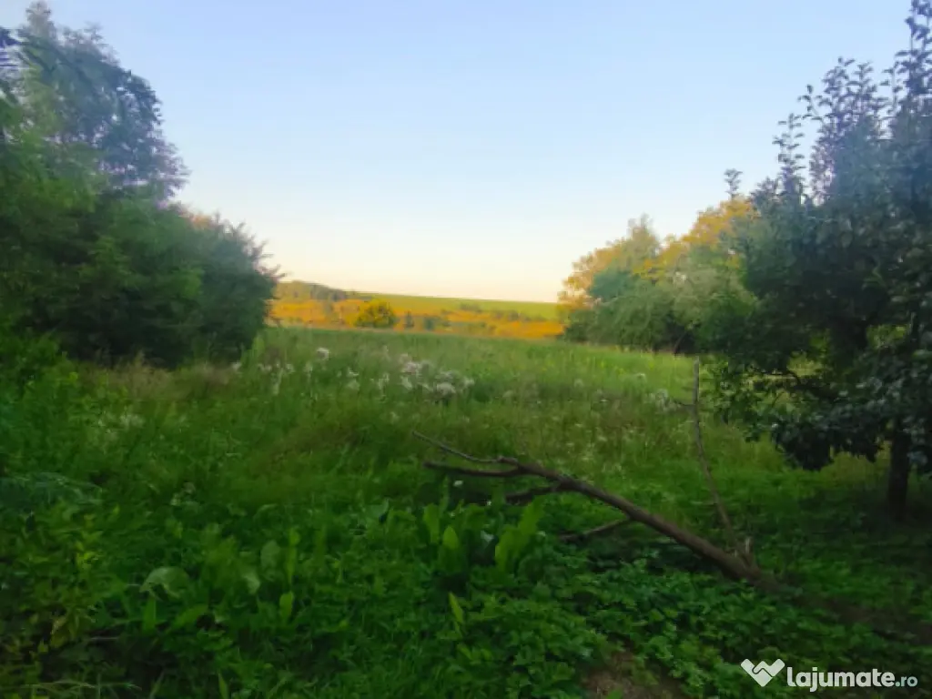 Casa individuala, 3500mp teren, zona Negostina, Siret