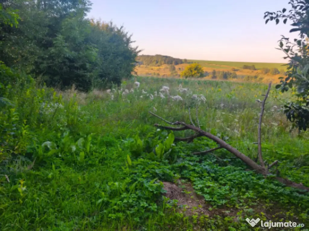 Casa individuala, 3500mp teren, zona Negostina, Siret