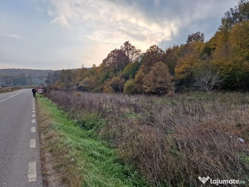 Teren 1,717mp Margineni / Strada Sat podis 