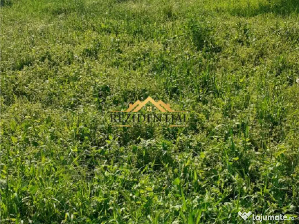 TEREN INTRAVILAN - TULBURENI