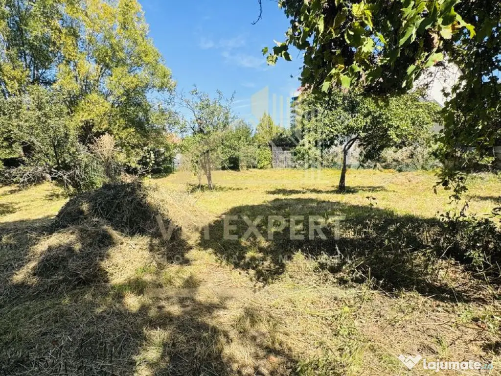 TEREN INTRAVILAN 3234 MP LEREȘTI VOINEȘTI ARGEȘ