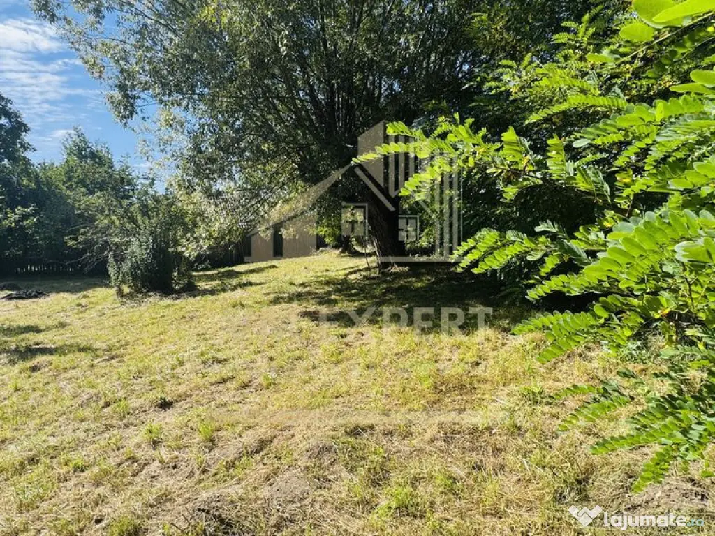 TEREN INTRAVILAN 3234 MP LEREȘTI VOINEȘTI ARGEȘ 