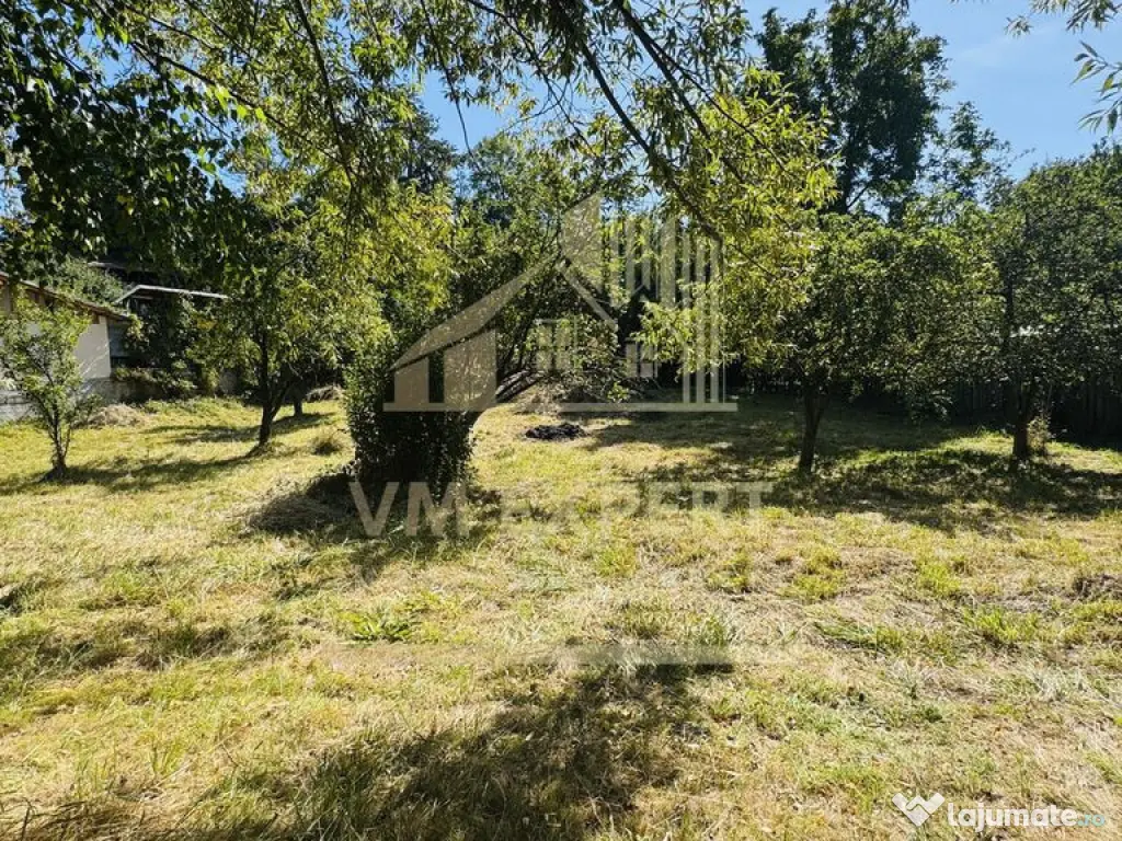 TEREN INTRAVILAN 3234 MP LEREȘTI VOINEȘTI ARGEȘ 