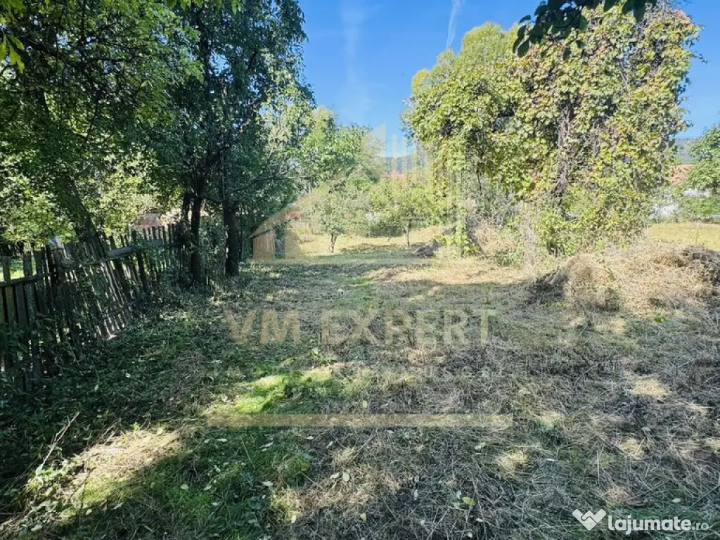 TEREN INTRAVILAN 3234 MP LEREȘTI VOINEȘTI ARGEȘ 