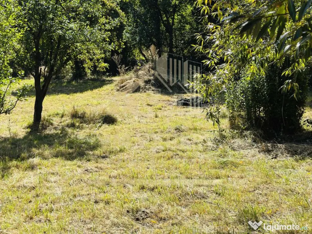 TEREN INTRAVILAN 3234 MP LEREȘTI VOINEȘTI ARGEȘ 