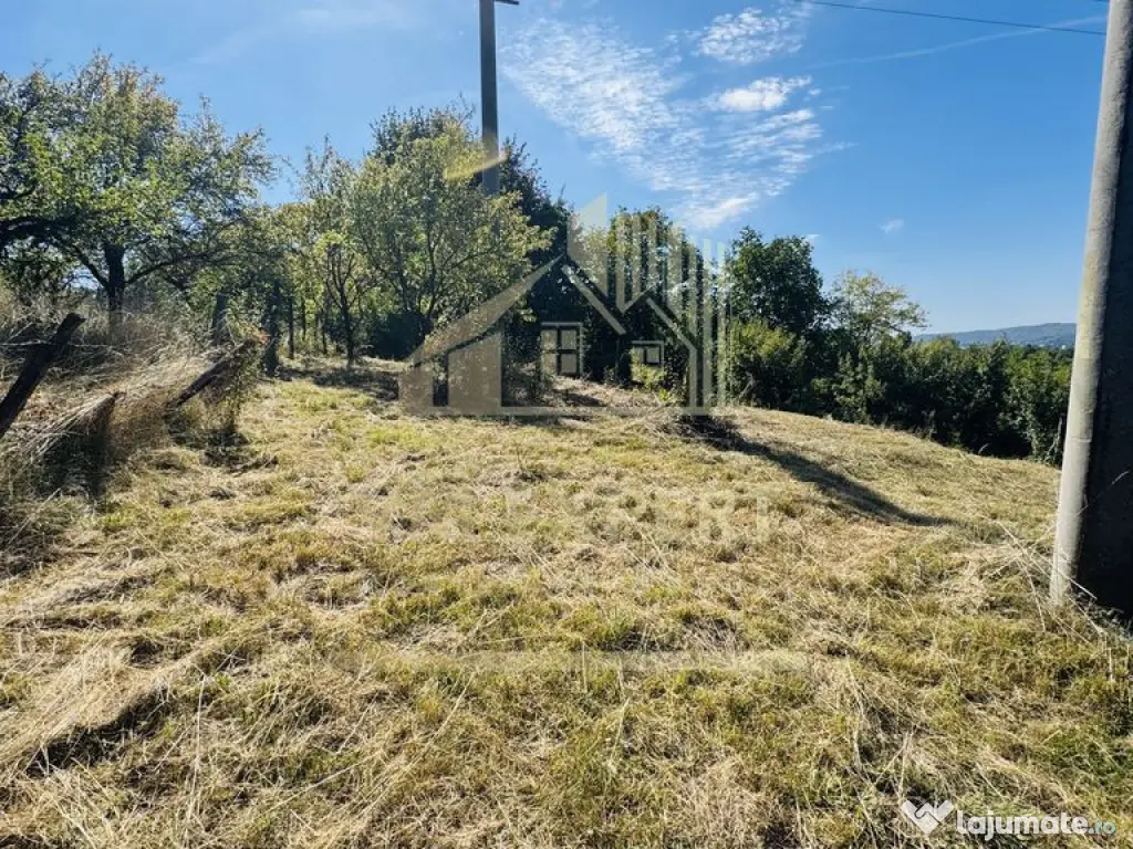 TEREN INTRAVILAN 3234 MP LEREȘTI VOINEȘTI ARGEȘ 