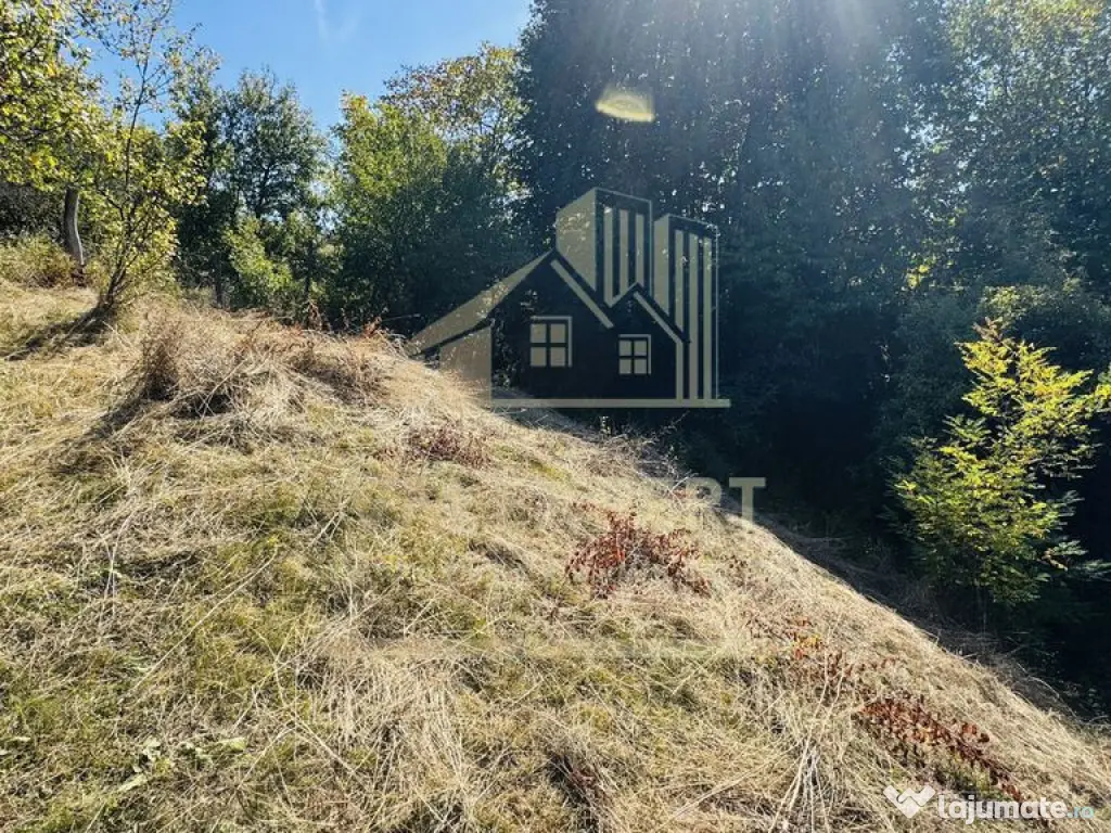 TEREN INTRAVILAN 3234 MP LEREȘTI VOINEȘTI ARGEȘ 