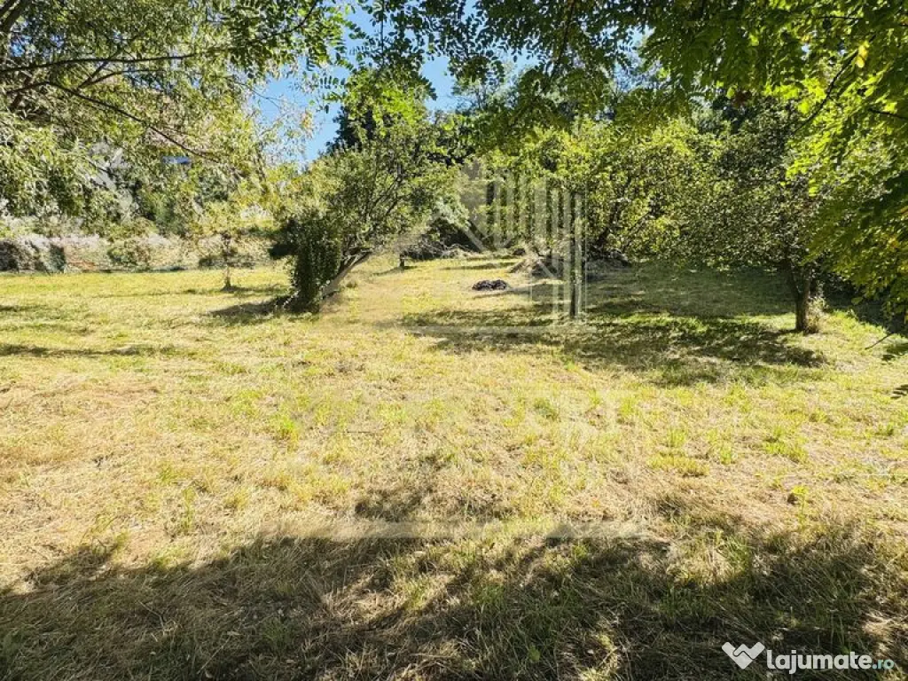 TEREN INTRAVILAN 3234 MP LEREȘTI VOINEȘTI ARGEȘ 