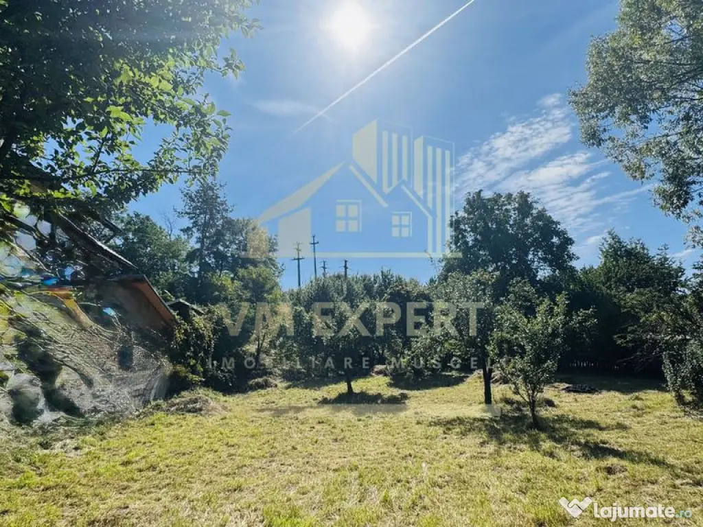 TEREN INTRAVILAN 3234 MP LEREȘTI VOINEȘTI ARGEȘ 