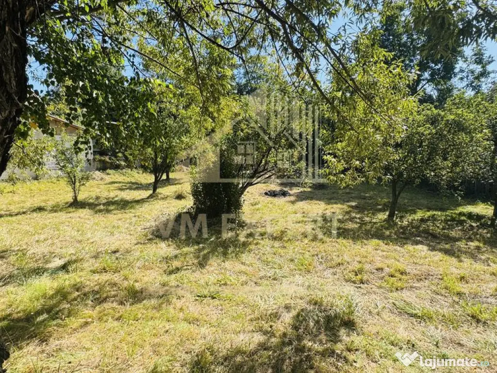 TEREN INTRAVILAN 3234 MP LEREȘTI VOINEȘTI ARGEȘ 