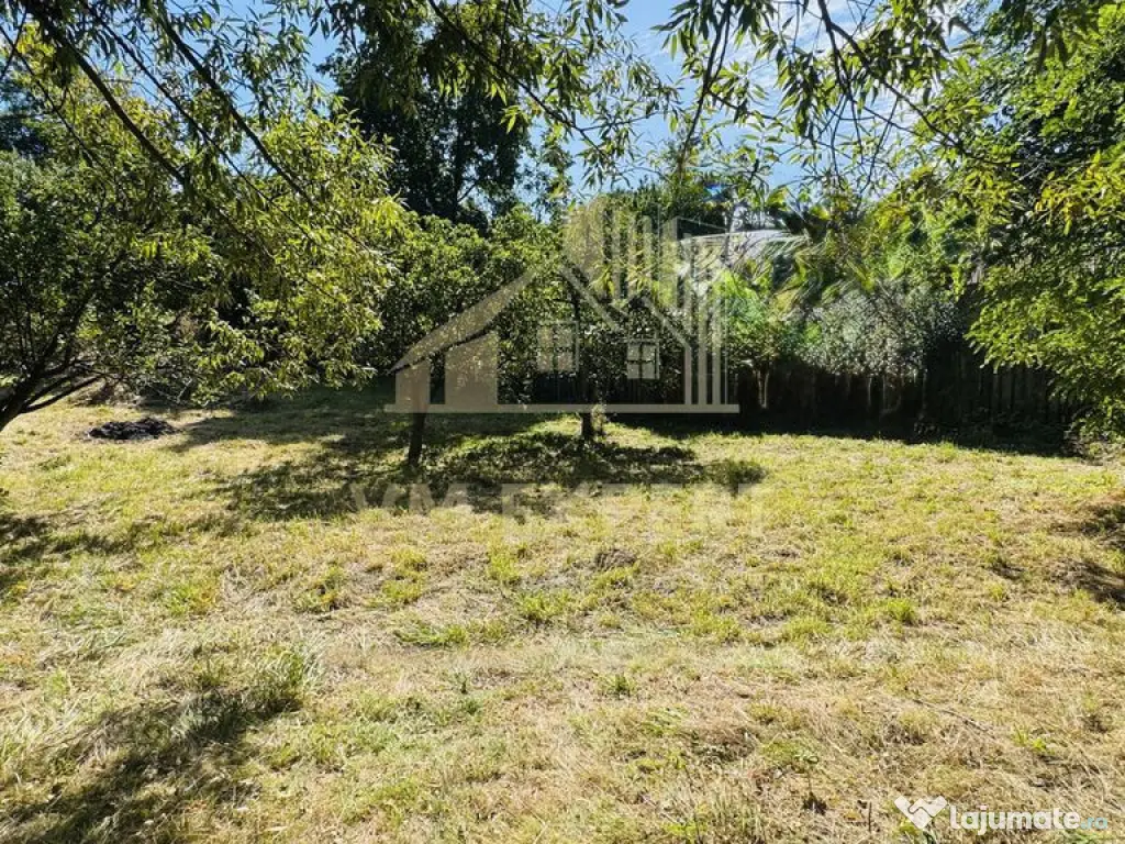 TEREN INTRAVILAN 3234 MP LEREȘTI VOINEȘTI ARGEȘ 