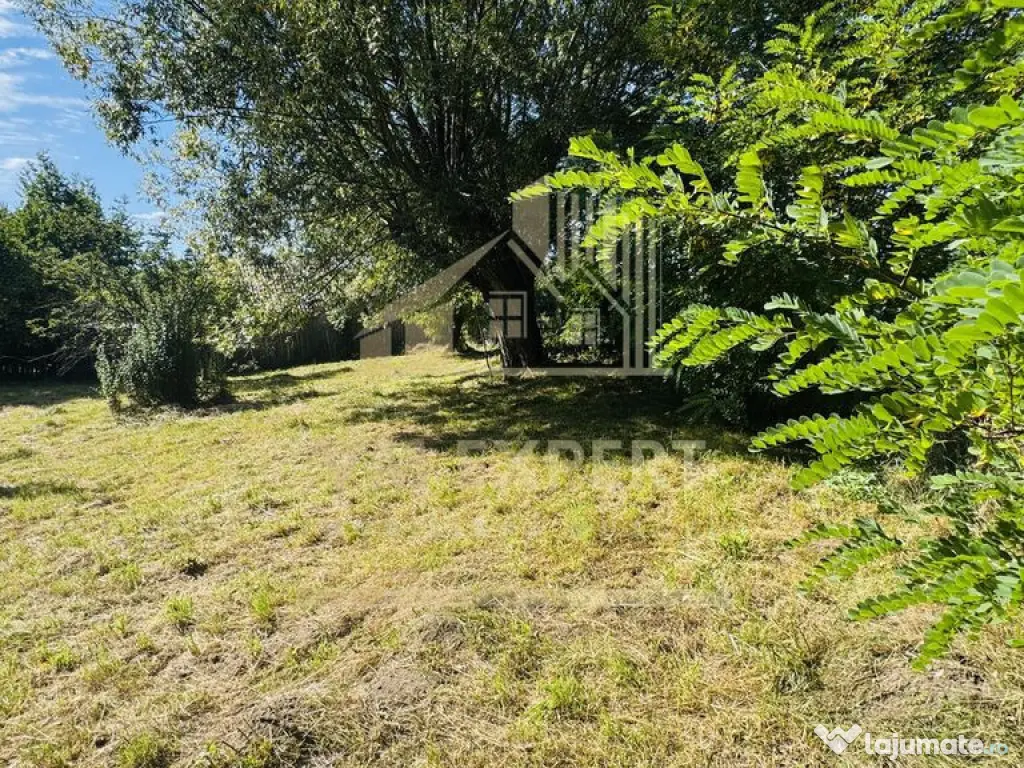 TEREN INTRAVILAN 3234 MP LEREȘTI VOINEȘTI ARGEȘ 