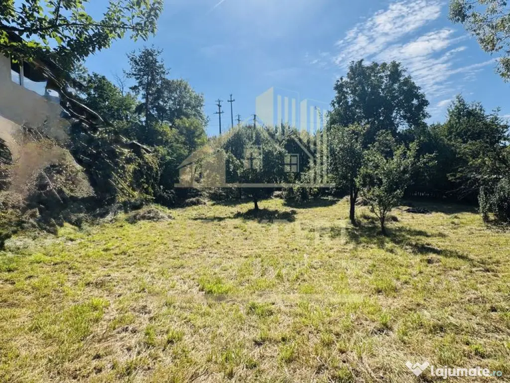 TEREN INTRAVILAN 3234 MP LEREȘTI VOINEȘTI ARGEȘ 