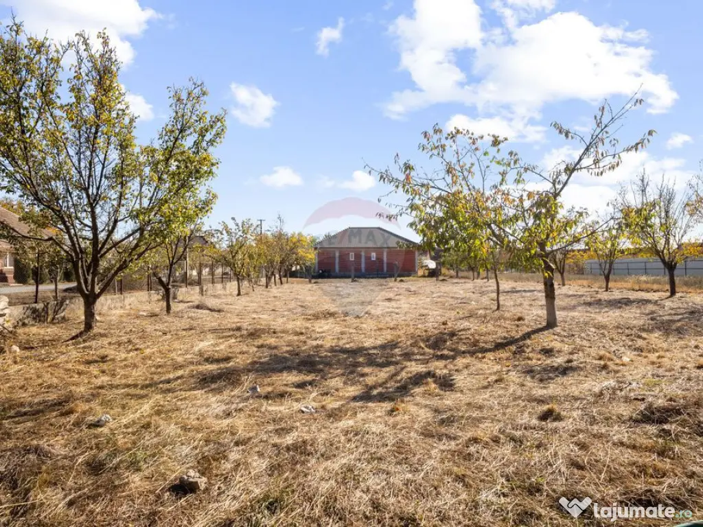 Loc de casă în Sofronea(Lot 2)- la 7 km de Arad 