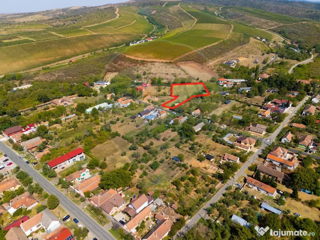 Miniș- destinația ideală pentru o resedință de lux ?... 