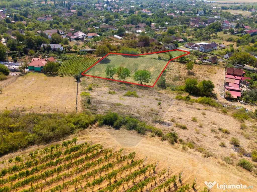 Miniș- destinația ideală pentru o resedință de lux ?... 