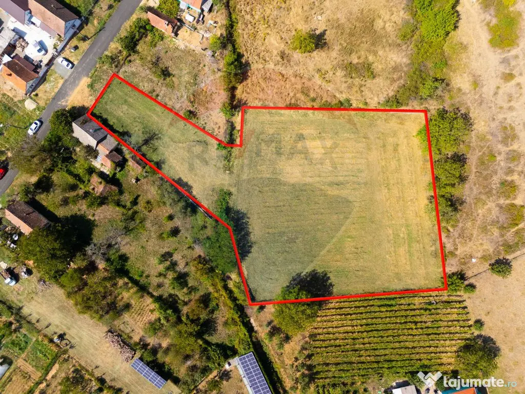 Miniș- destinația ideală pentru o resedință de lux ?... 