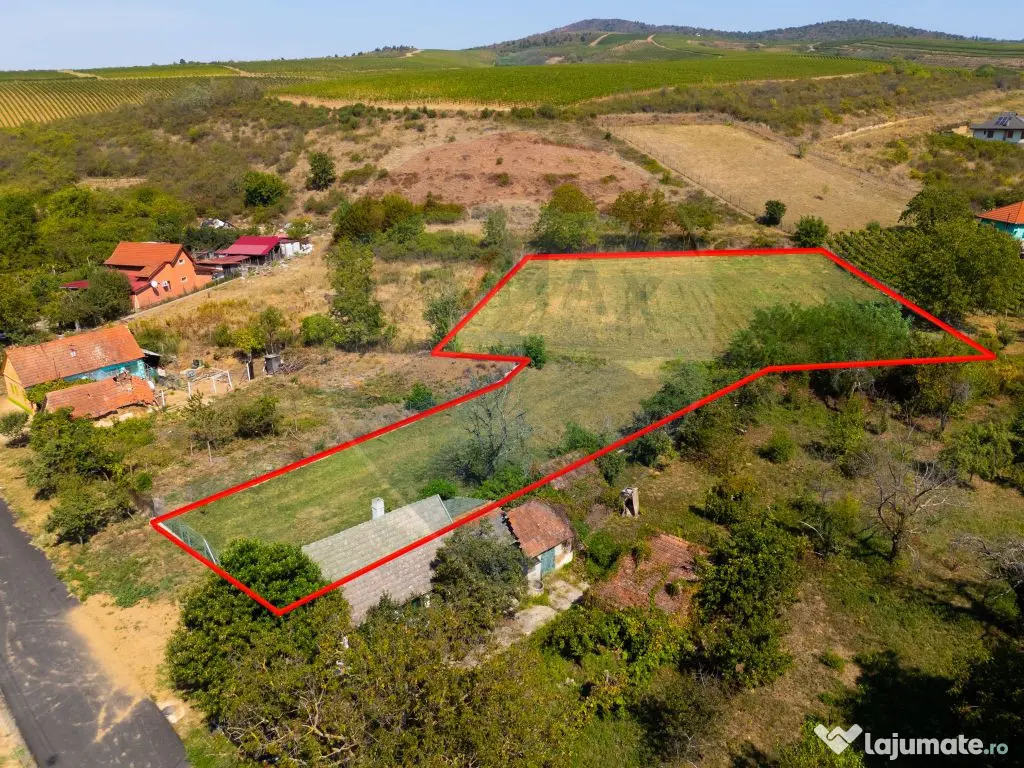 Miniș- destinația ideală pentru o resedință de lux ?... 