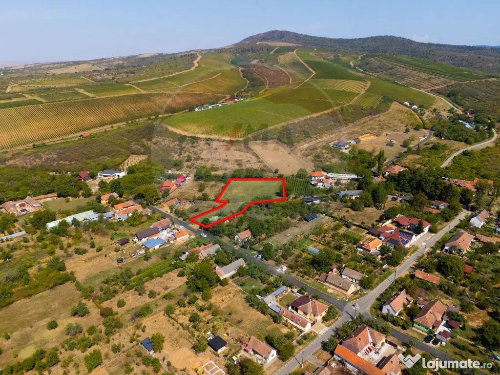 Miniș- destinația ideală pentru o resedință de lux ?... 