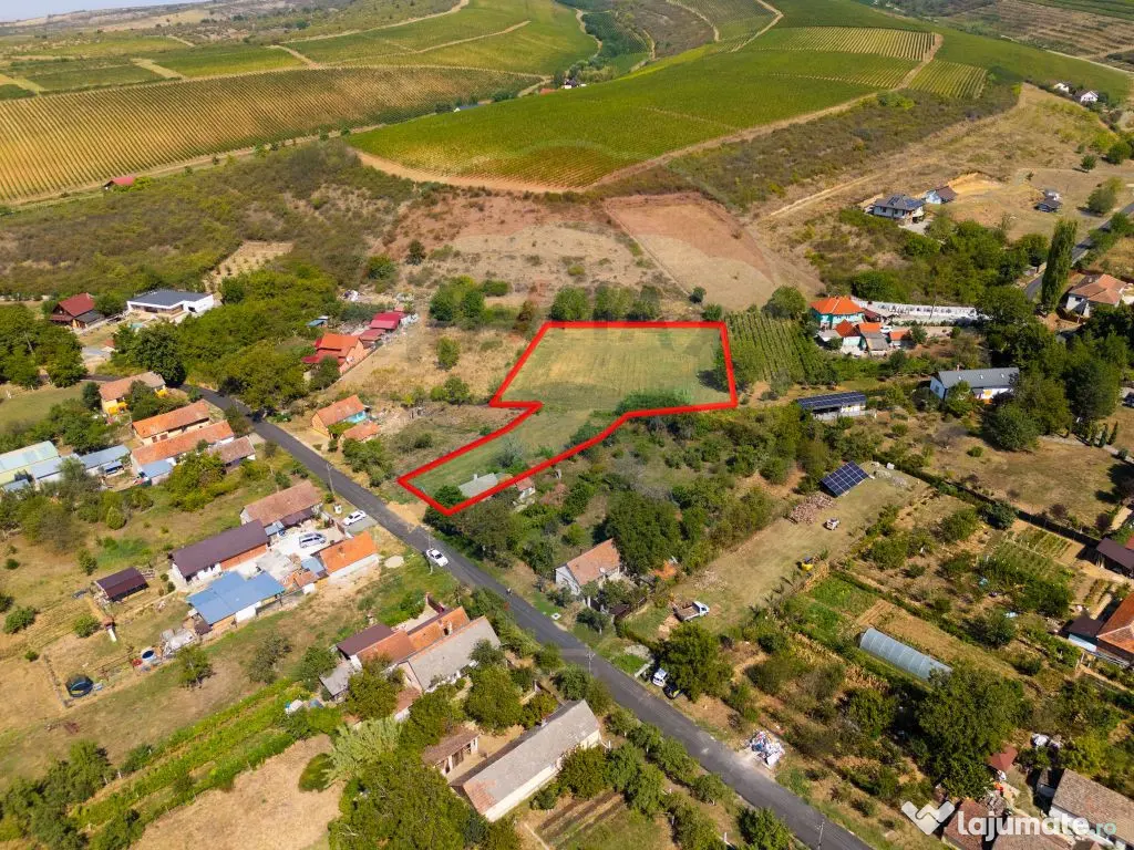 Miniș- destinația ideală pentru o resedință de lux ?... 