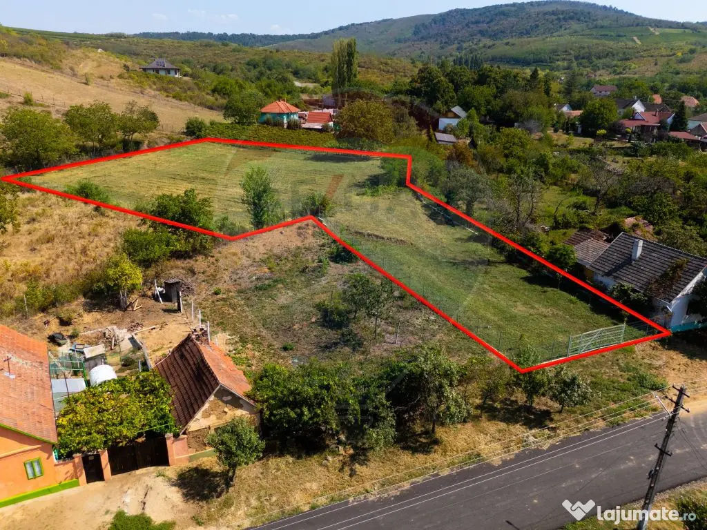 Miniș- destinația ideală pentru o resedință de lux ?... 