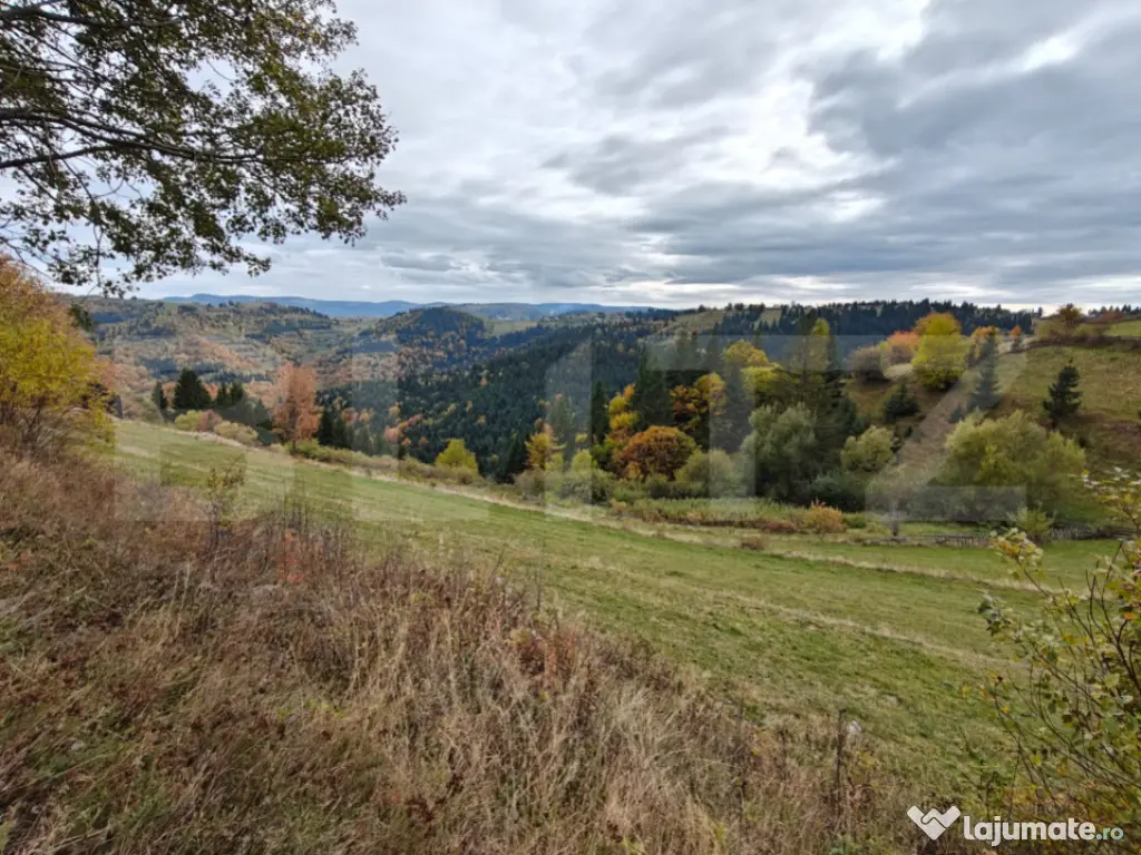 Teren spectaculos, ideal pentru cabana, parcelabil, cu utili