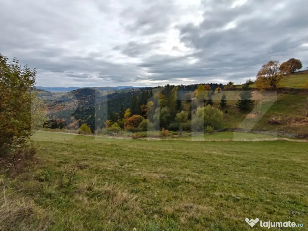 Teren spectaculos, ideal pentru cabana, parcelabil, cu utili