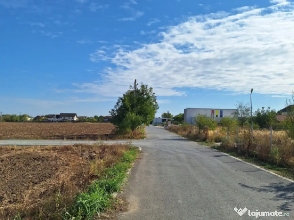 Snagov- Ciofliceni, loturi de casă între 504-670mp, Șerba 