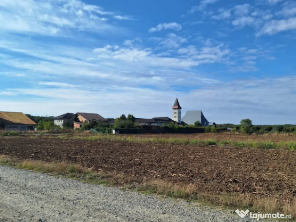 Snagov- Ciofliceni, loturi de casă între 504-670mp, Șerba 