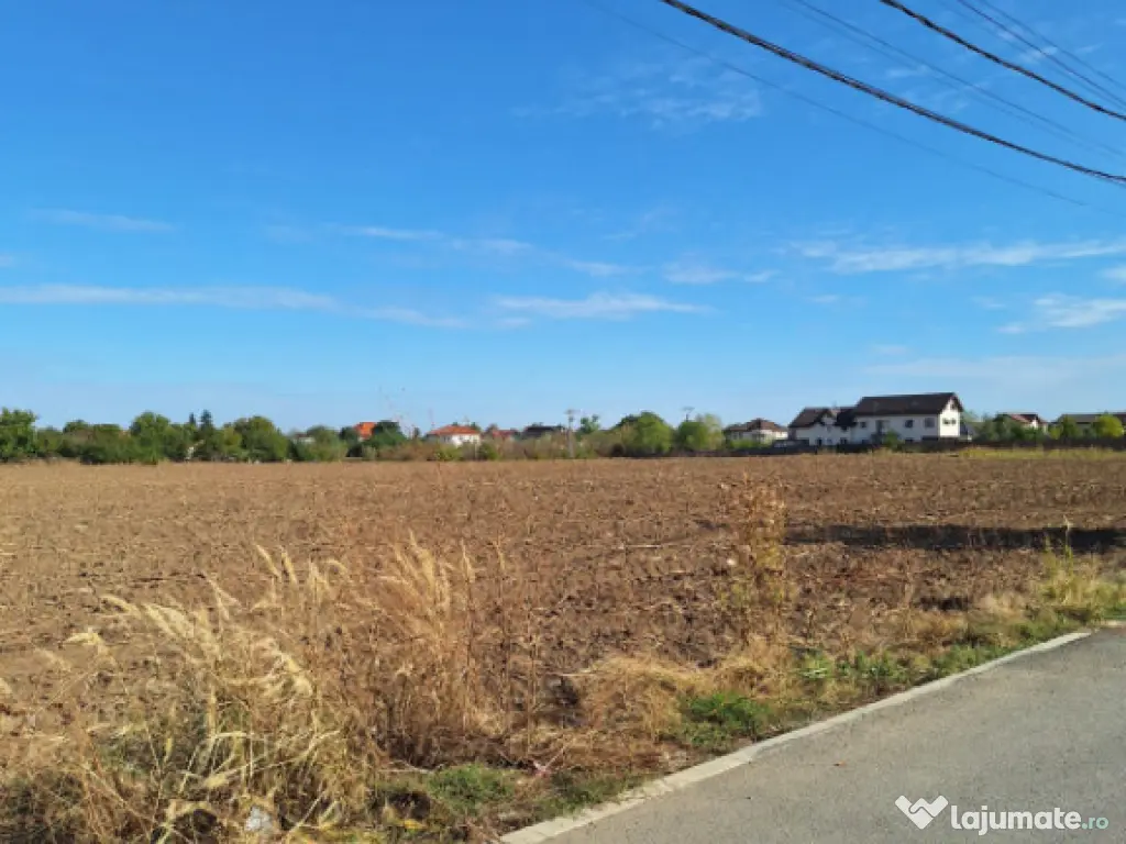 Snagov- Ciofliceni, loturi de casă între 504-670mp, Șerba 