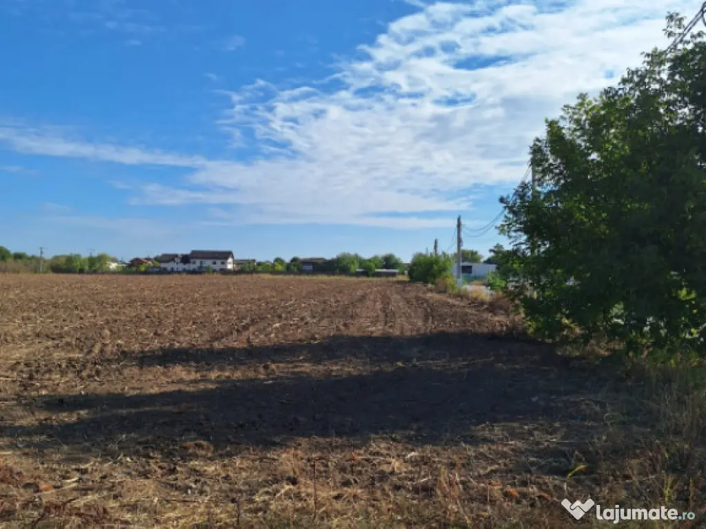 Snagov- Ciofliceni, loturi de casă între 504-670mp, Șerba 