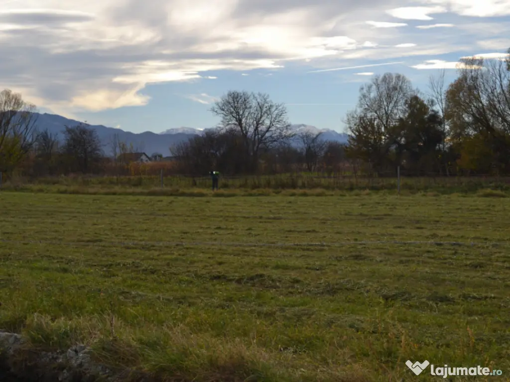 Casa single 4 camere, 110 MP + 500mp teren Stupini 