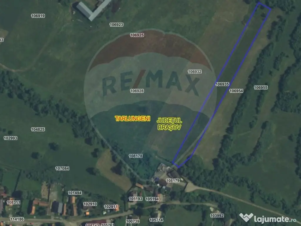 Teren 5.800 mp Purcareni curent, gaz, apă / Strada 30 de... 