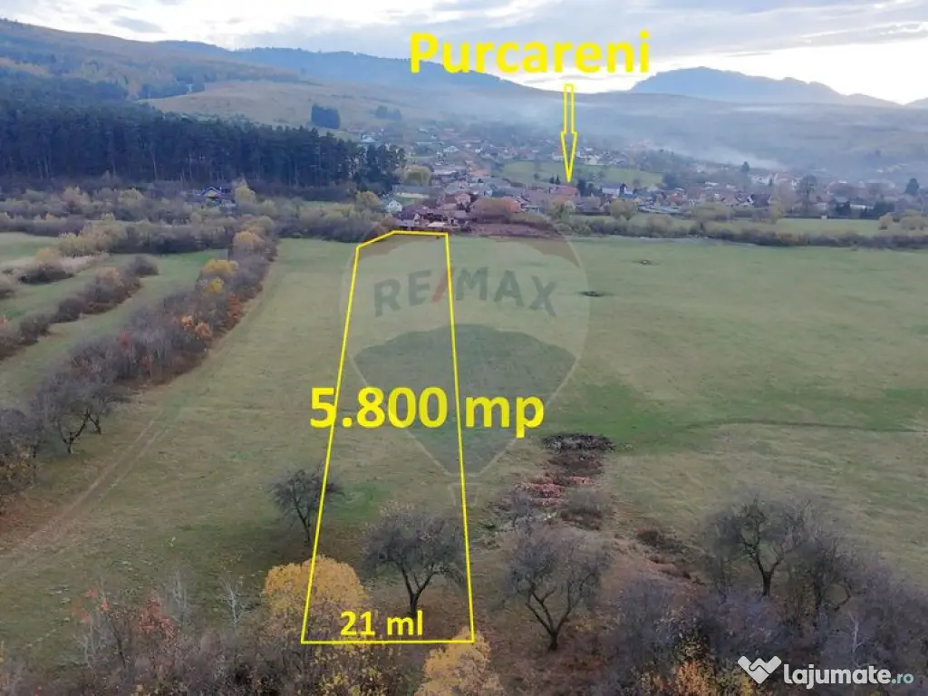 Teren 5.800 mp Purcareni curent, gaz, apă / Strada 30 de... 