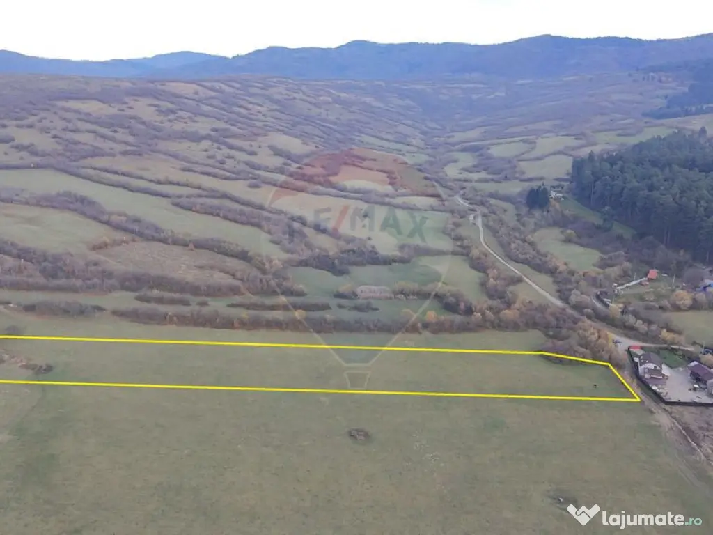 Teren 5.800 mp Purcareni curent, gaz, apă / Strada 30 de... 