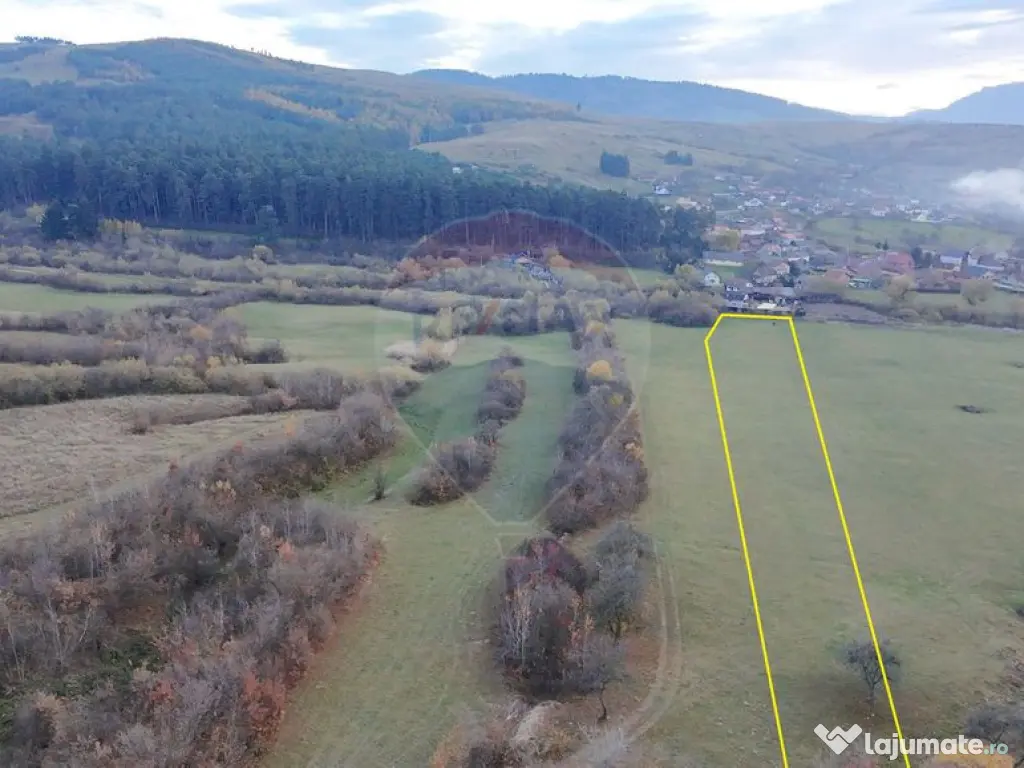 Teren 5.800 mp Purcareni curent, gaz, apă / Strada 30 de... 