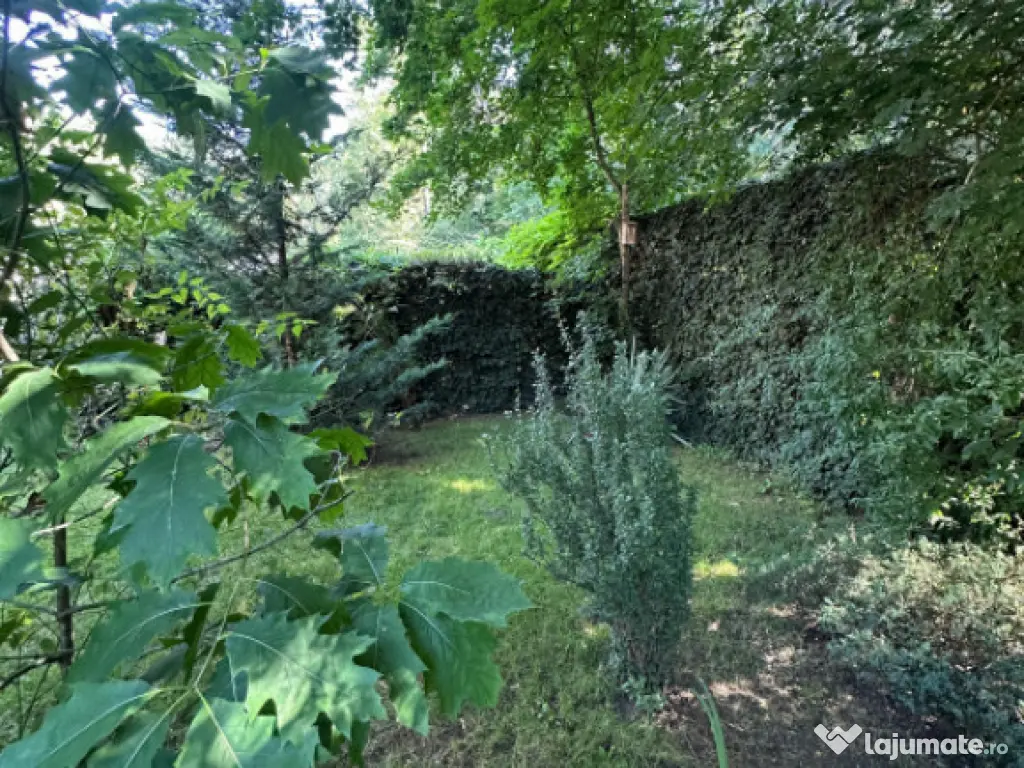 Vila individuala 4 camere cu vedere catre Padurea Baneasa 