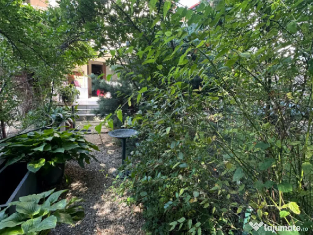 Vila individuala 4 camere cu vedere catre Padurea Baneasa 