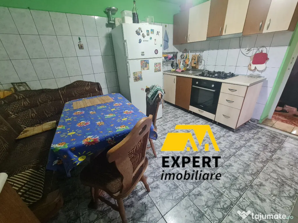 Casa Brailita sup 577 mp ,mobilata complet 
